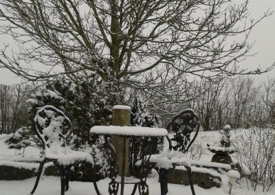 Le jardin sous la neige (3)
