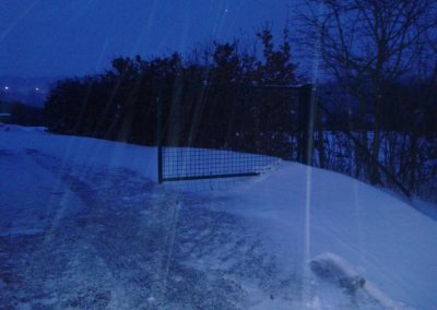Le jardin sous la neige (8)